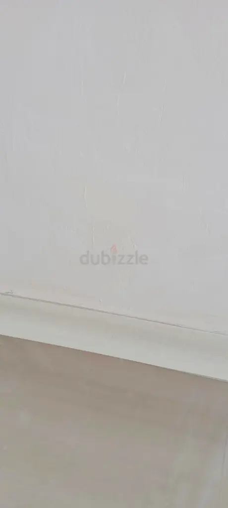 DPV_View_Image_0