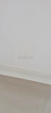 Professional Painting Services Dubai - Move-In/Out & Villa Painting (Fast Turnaround)