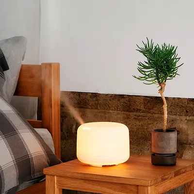 Muji Large Aroma Diffuser Essential Oil Aromatherapy