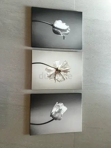 Set of 3 IKEA Floral Canvas Prints 30×40 cm – Excellent Condition