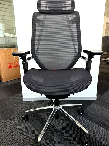 Chairever Endurance Super Ergonomic Mesh Chair – For Sale