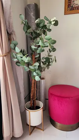 Artificial Eucalyptus Floor Plant with White Pot and Gold Stand