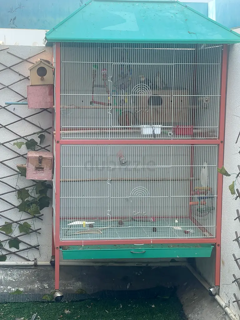 gallery-image