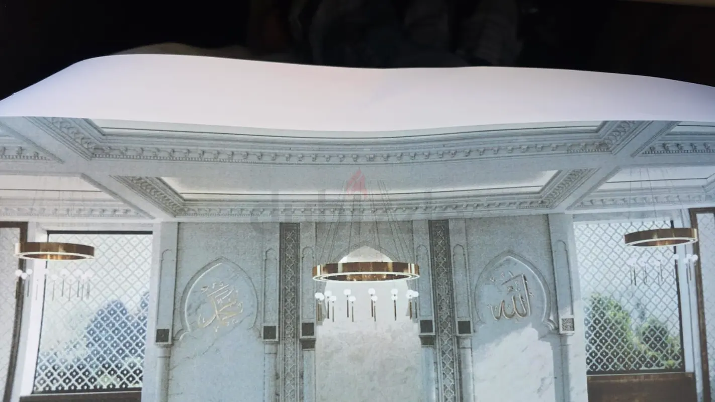 DPV_View_Image_2