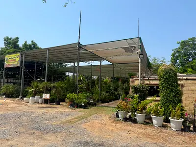 Established Plant Nursery for Sale | Prime Dibba Location | 50m Road Frontage