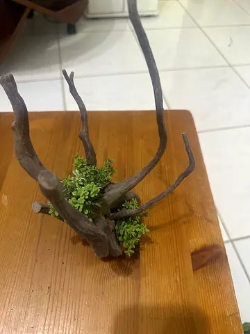 Aquarium accessories