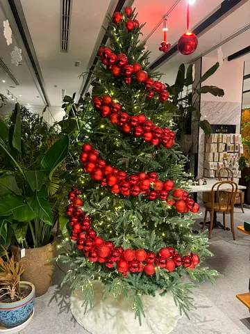 Christmas Decoration Service