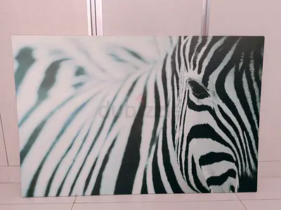 Zebra canvas frame wall hanging