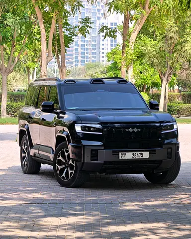 2025 BYD Leopard 8 Flagship