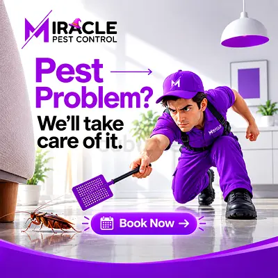 Premium Pest Control Services in Dubai