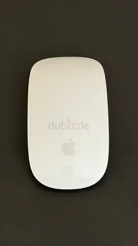 Apple Magic Mouse (slightly used)