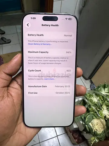 iPhone 16 pro max