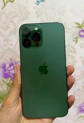 iPhone 13 Pro Max