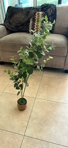 Artificial Eucalyptus Plant in Decorative Pot - Excellent Condition