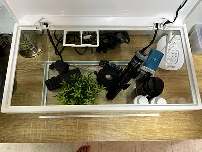 Fish tank including thermometer and filters ready to use
