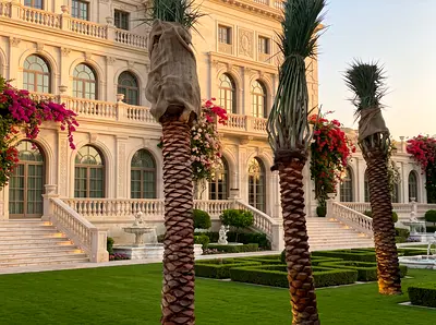 Outdoor Palm Trees and Manicured Garden - Decorative Landscape Plants 2.0m Brown Trunk