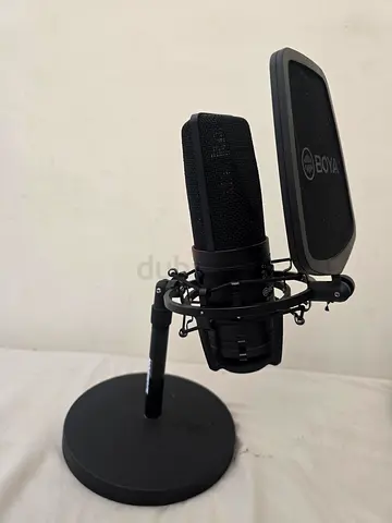 Large Diaphragm Condenser Microphone