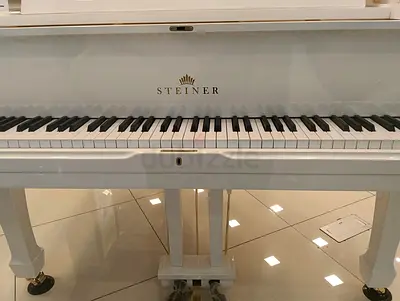 Steiner Hg-168 Grand Piano with Self-Playing