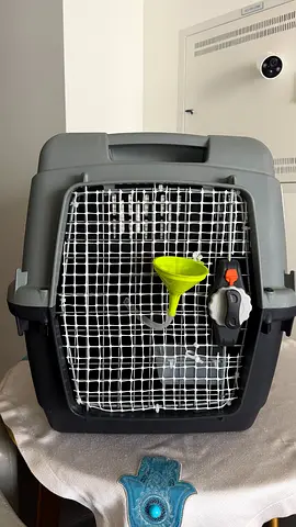 Kennel (71x52x55Cms) - Duly Adapted - used only once. IATA approved