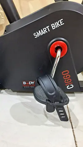 Exercise cycle