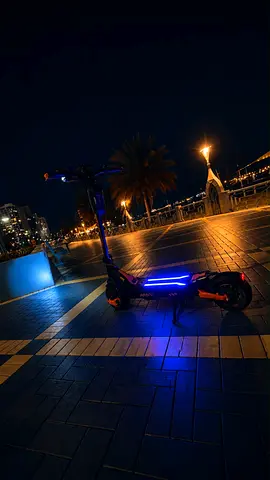 Electric scooter