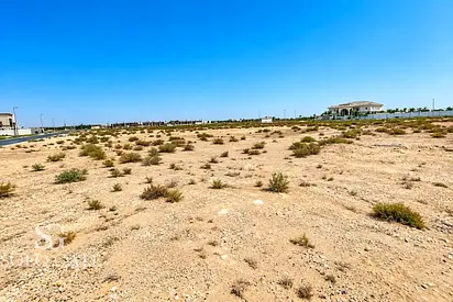 Residential Freehold Plot | Prime Jebel Ali Hills