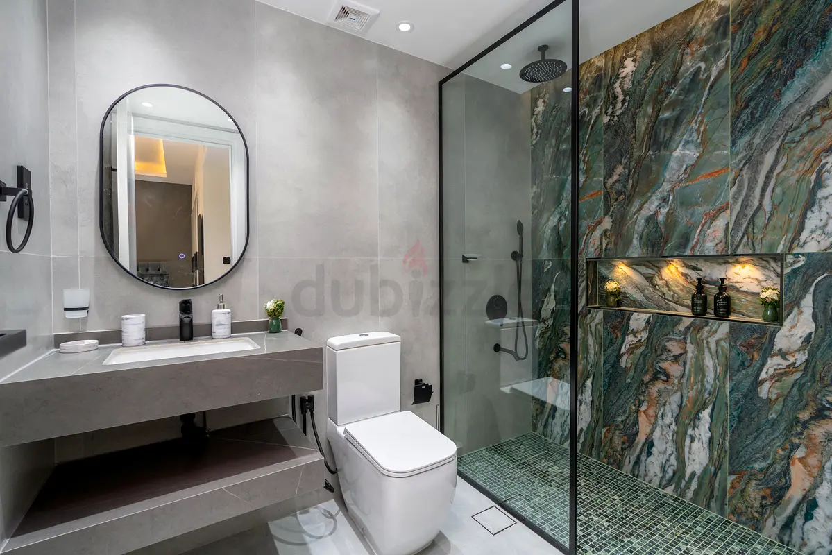 DPV_View_Image_5