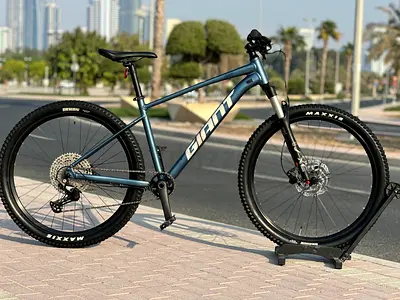 Giant Taloon:0/27.5