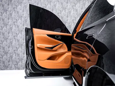 2025 Aston Martin DBX 缩略图 19
