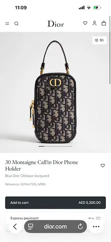 Dior bag