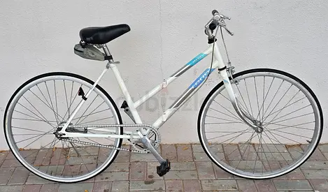 Fixed Gear single speed Aluminum Road Bike