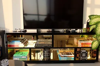 Exceptional TV Unit and Bookcase from Domedizioni