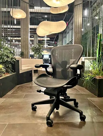 Herman Miller Remastered Ergonomic Mesh Office Chair with Adjustable Armrests and Lumbar Support