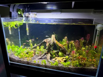 Aquarium
