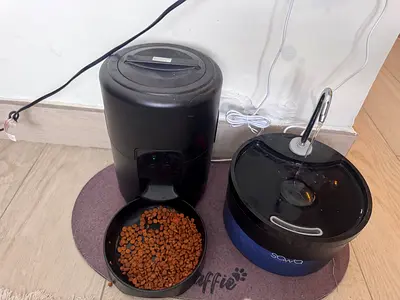 Cat feeder