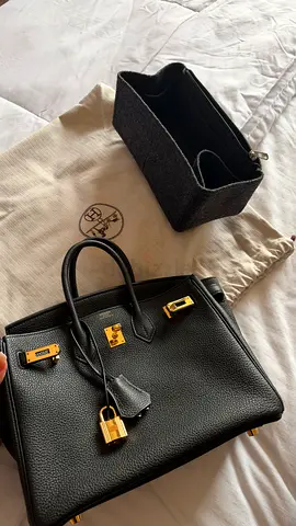 Hermes Birkin 25