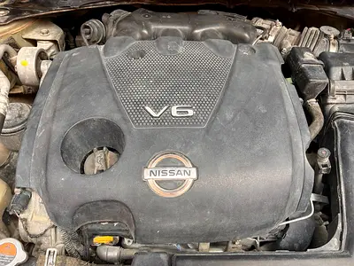 2010 Nissan MAXIMA 缩略图 15
