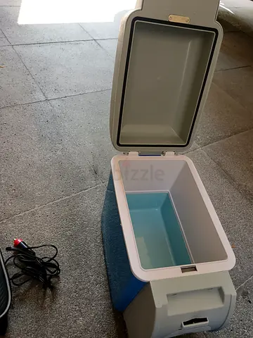 Portable 12V Car Cooler/Fridge - Small Electric Ice Chest