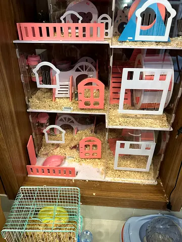 Hamster house 3 level with 2 wheels and 3 house with 1 kg hamster food plus 3kg hei bag