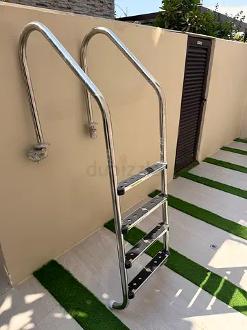 Swimming pool ladder