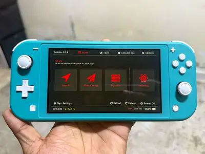 Modded Nintendo Switch lite for sale