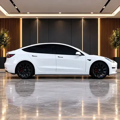 2023 Tesla MODEL 3 照片 5