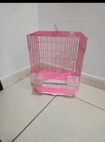 Budgies cage for free