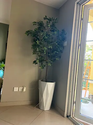 شجرة ديكور داخلي