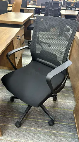 Ergonomic Mesh Office Chair with Armrests and Casters