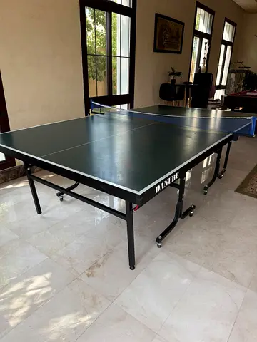 Used Danube Table Tennis / Ping Pong Table - Good Condition