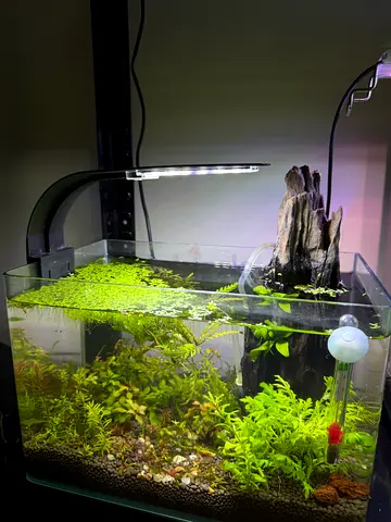 Aquarium
