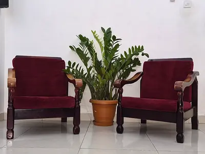 Pair of Wooden Armchairs with Burgundy Cushions
