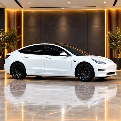 2023 Tesla MODEL 3 照片 3