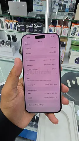 16promax 256gb sliver